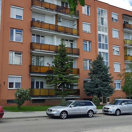 Veszprem Kucko Apartment Екстериор снимка